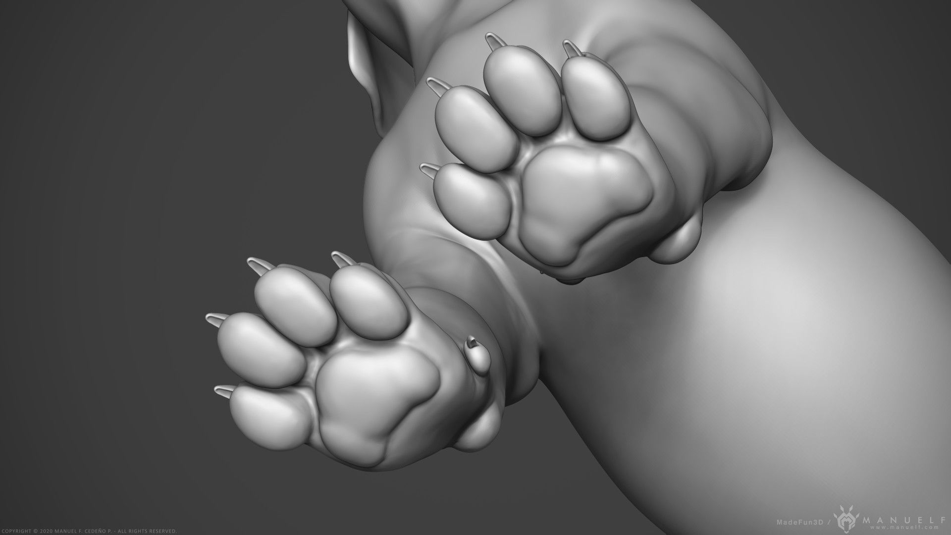 Dog Puppy - Highpoly Sculpture 3D model_10