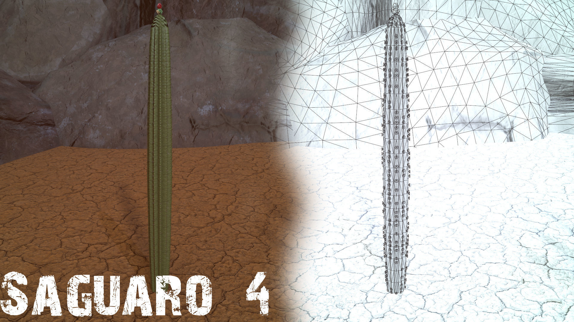 Desert Foliage Low-poly 3D model_9