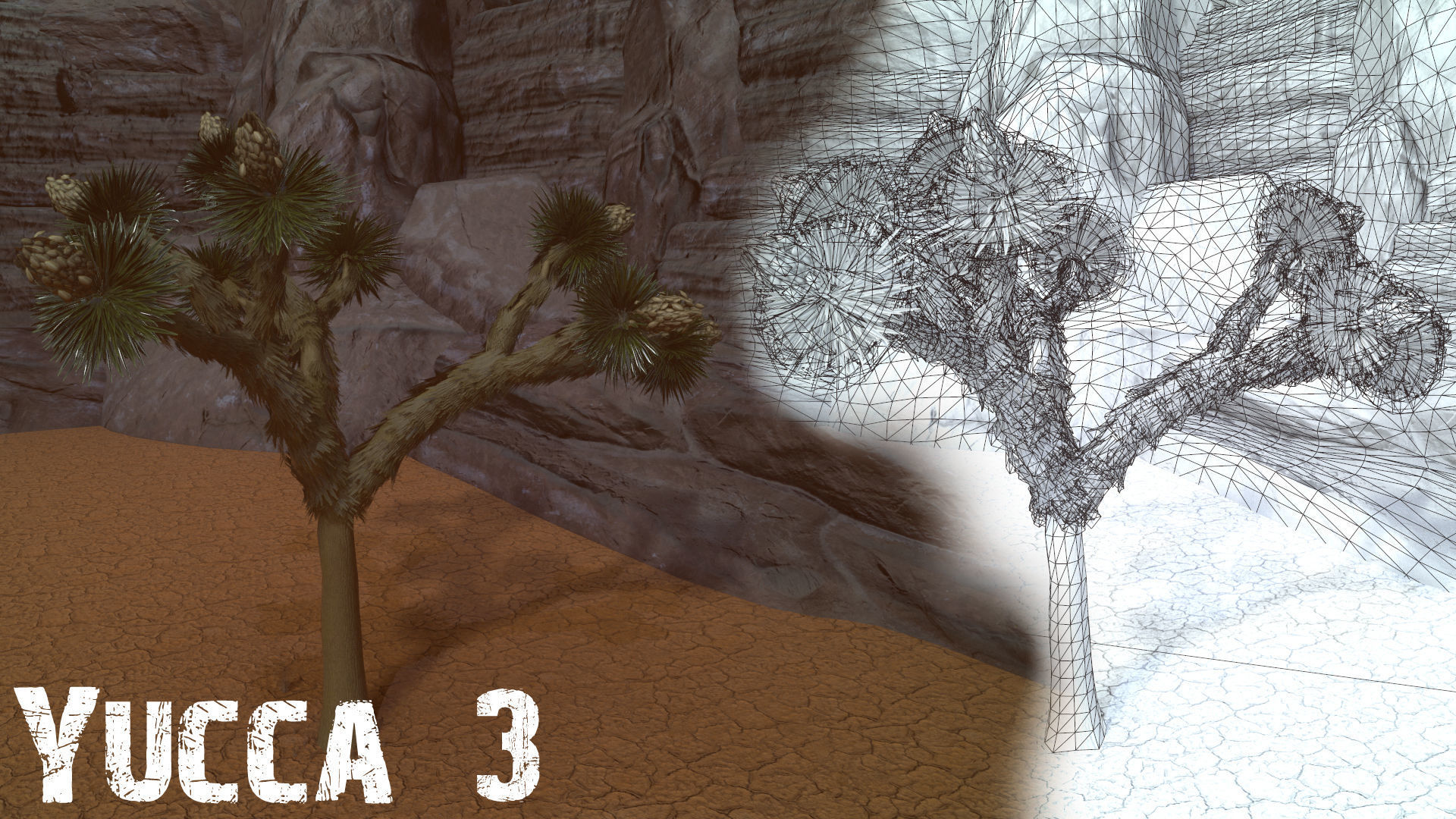 Desert Foliage Low-poly 3D model_5