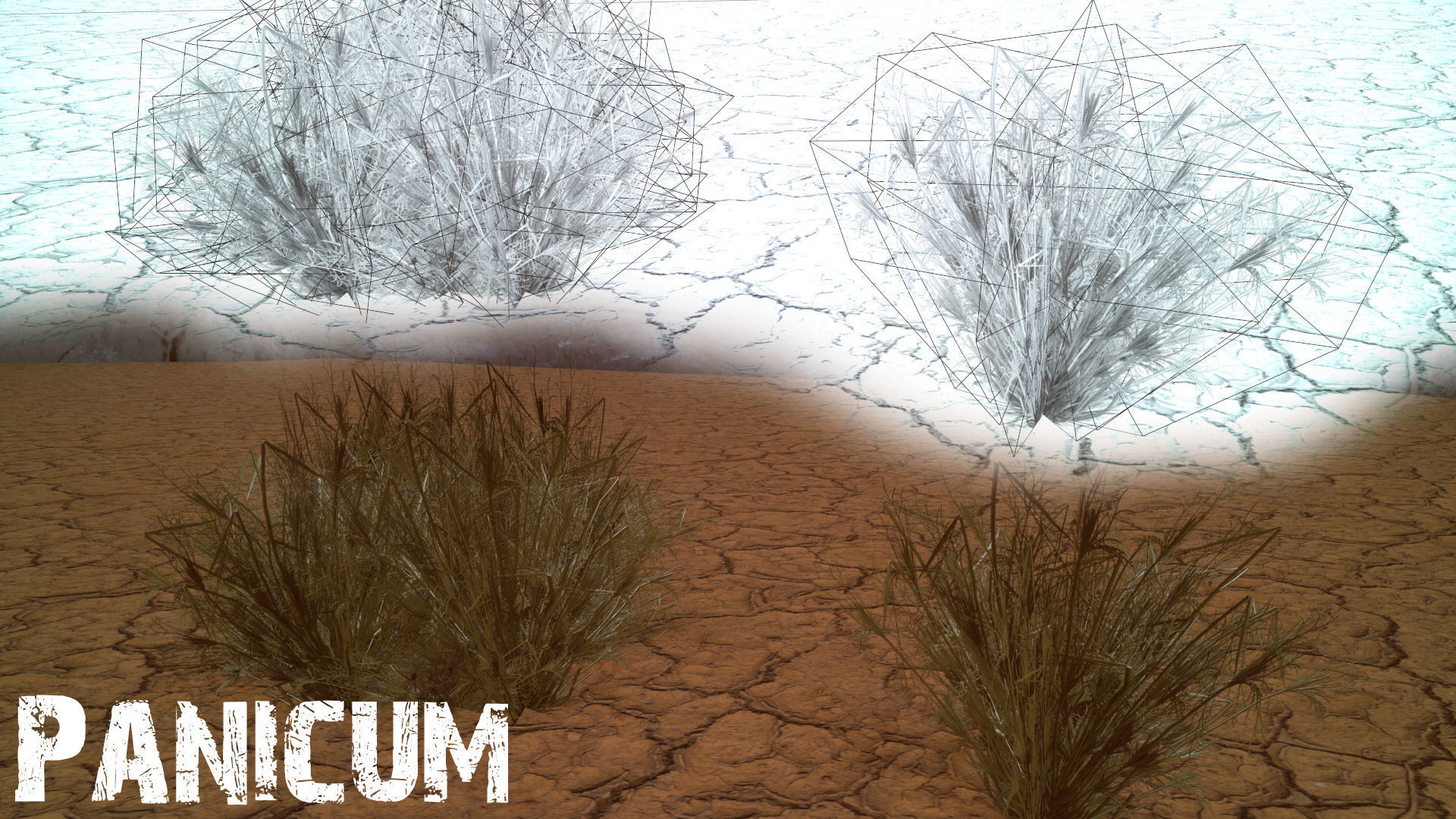 Desert Foliage Low-poly 3D model_19