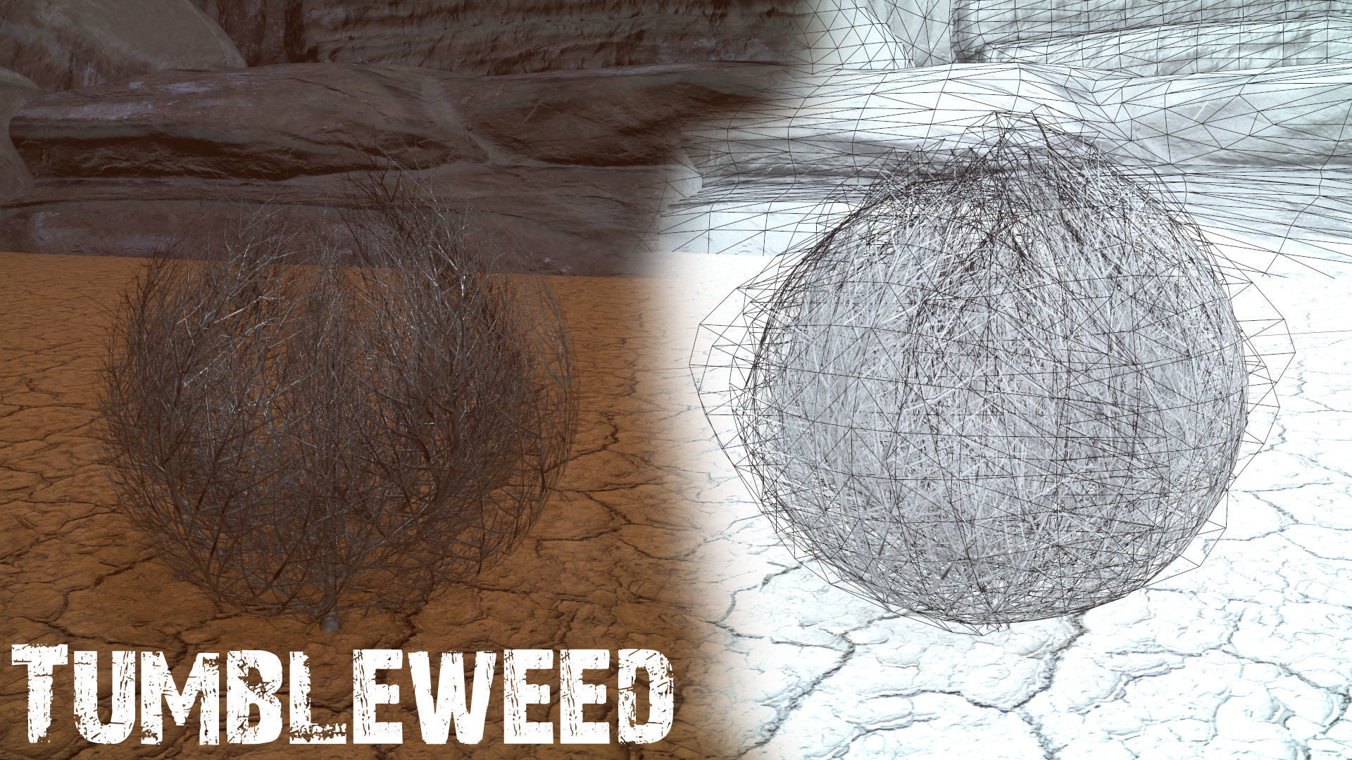 Desert Foliage Low-poly 3D model_16