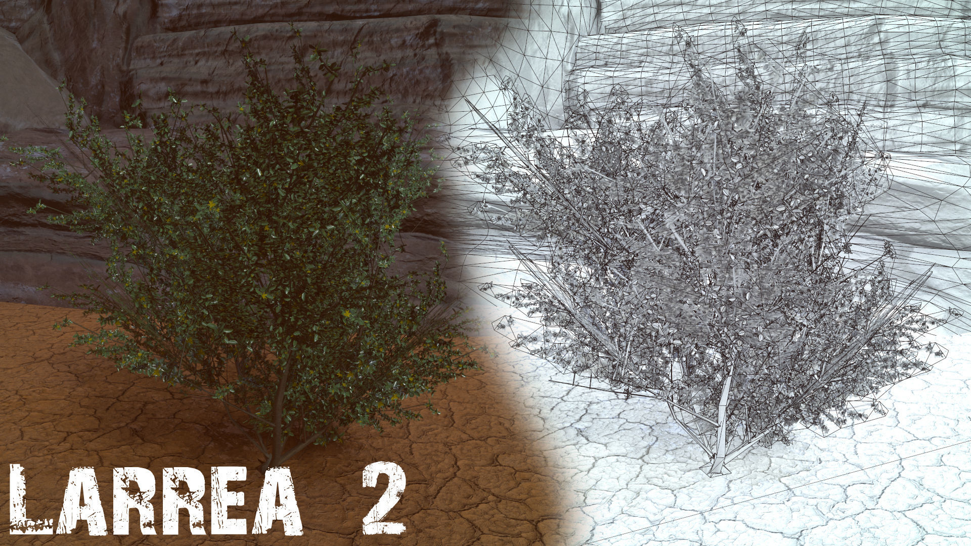 Desert Foliage Low-poly 3D model_14