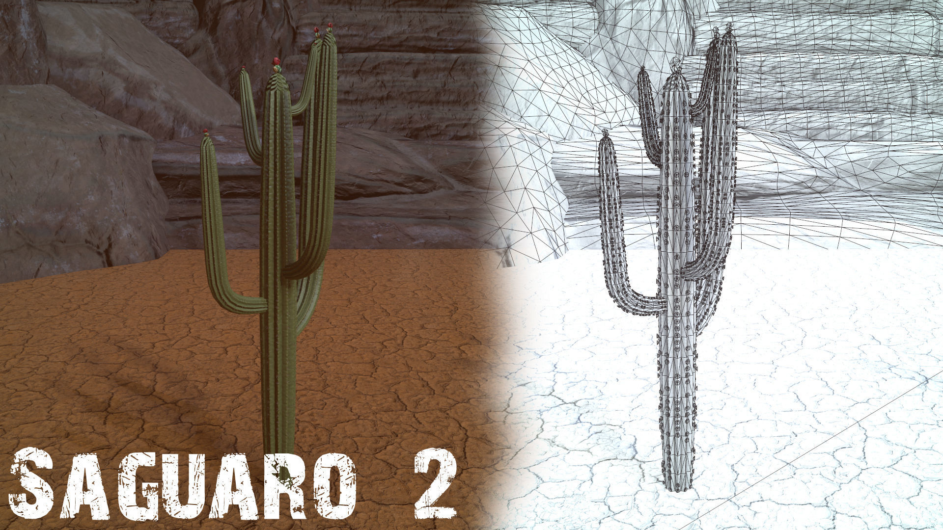 Desert Foliage Low-poly 3D model_7