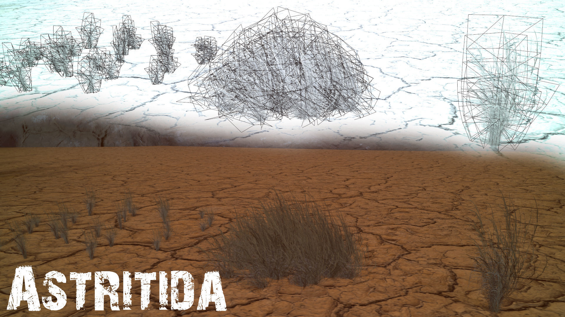 Desert Foliage Low-poly 3D model_17