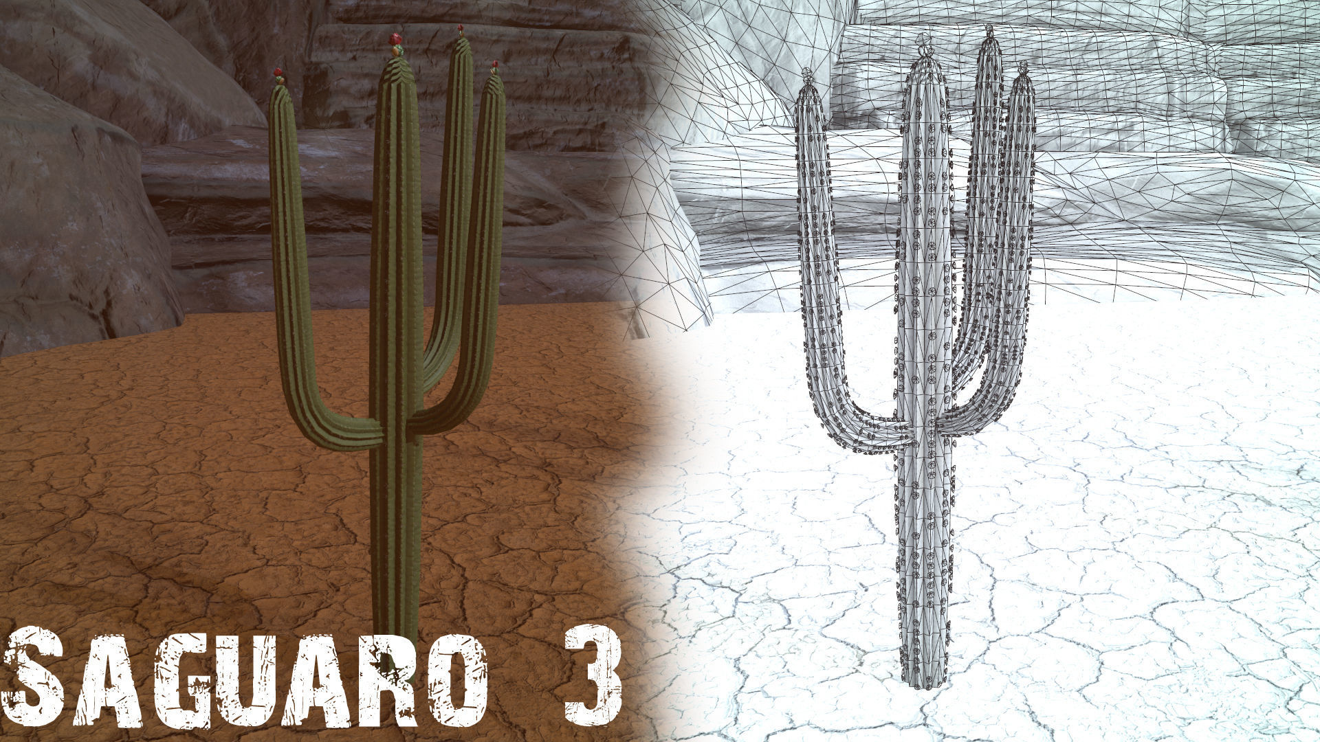 Desert Foliage Low-poly 3D model_8