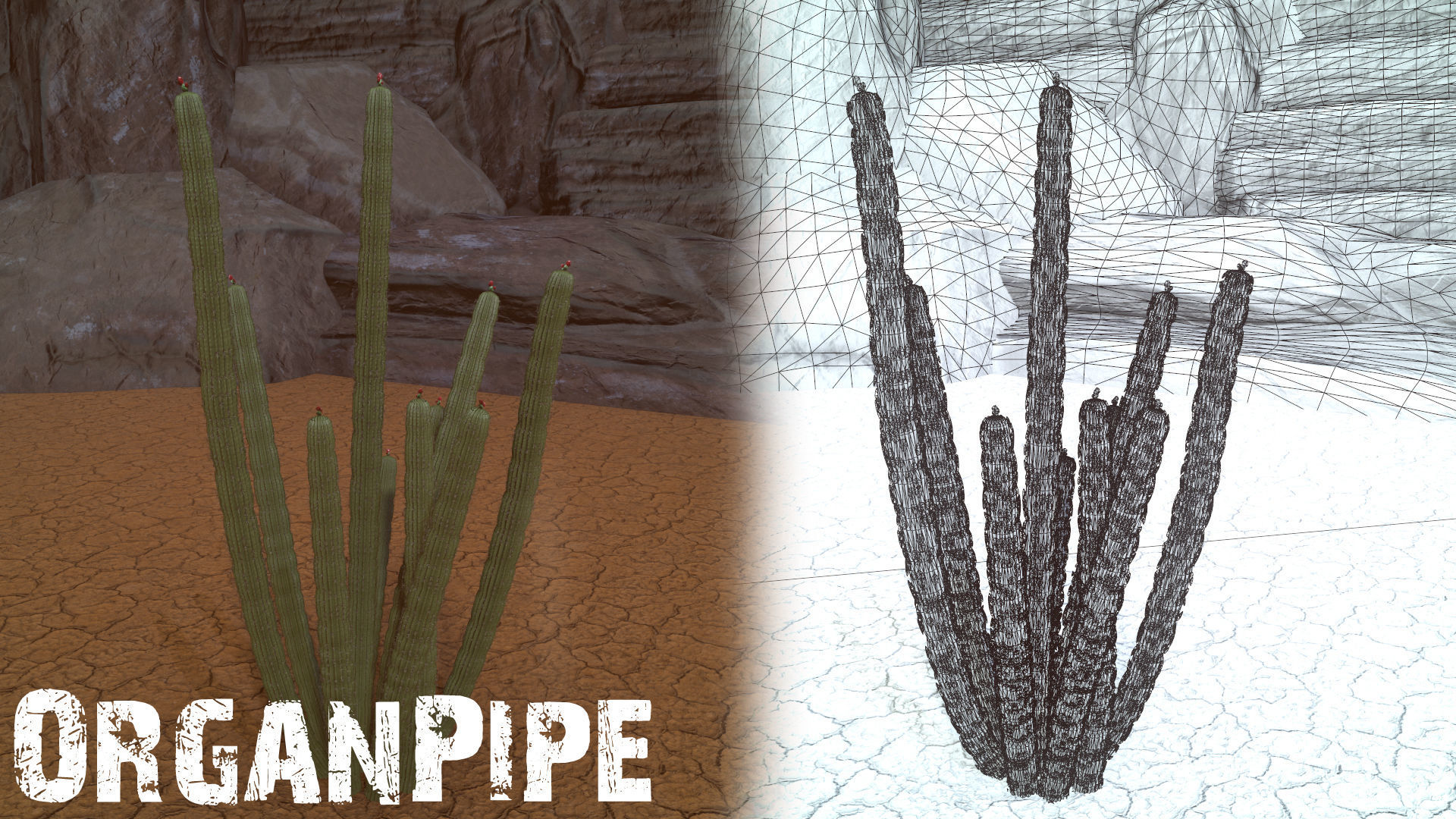 Desert Foliage Low-poly 3D model_10