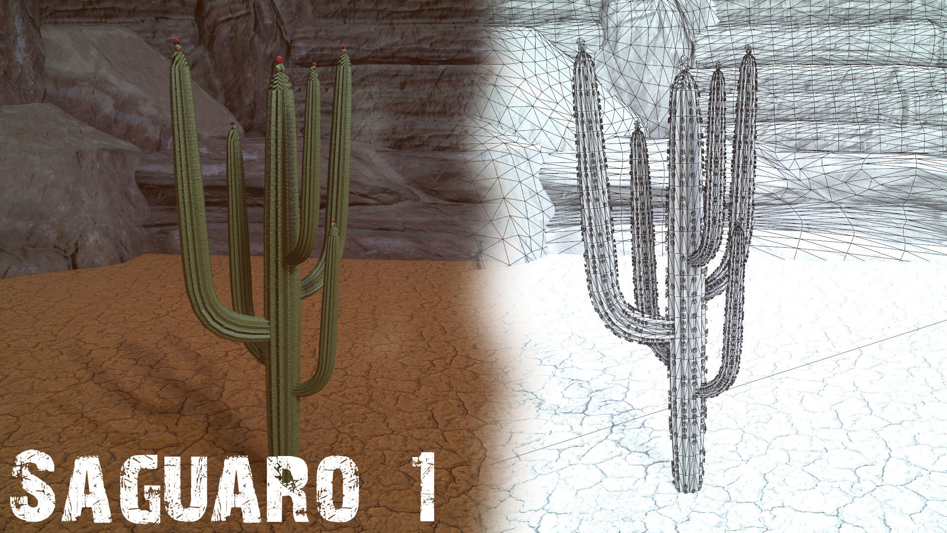 Desert Foliage Low-poly 3D model_6