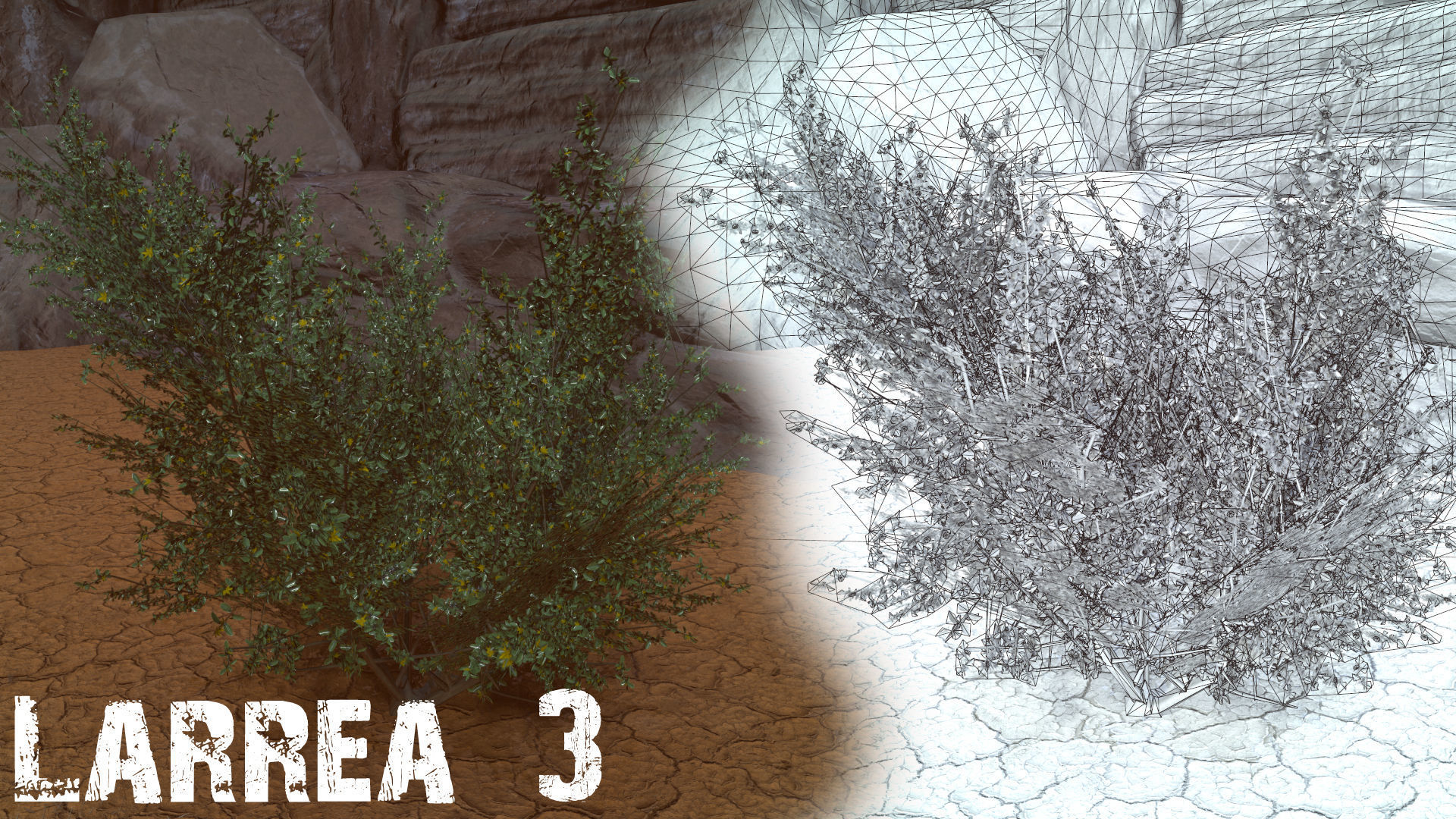 Desert Foliage Low-poly 3D model_15