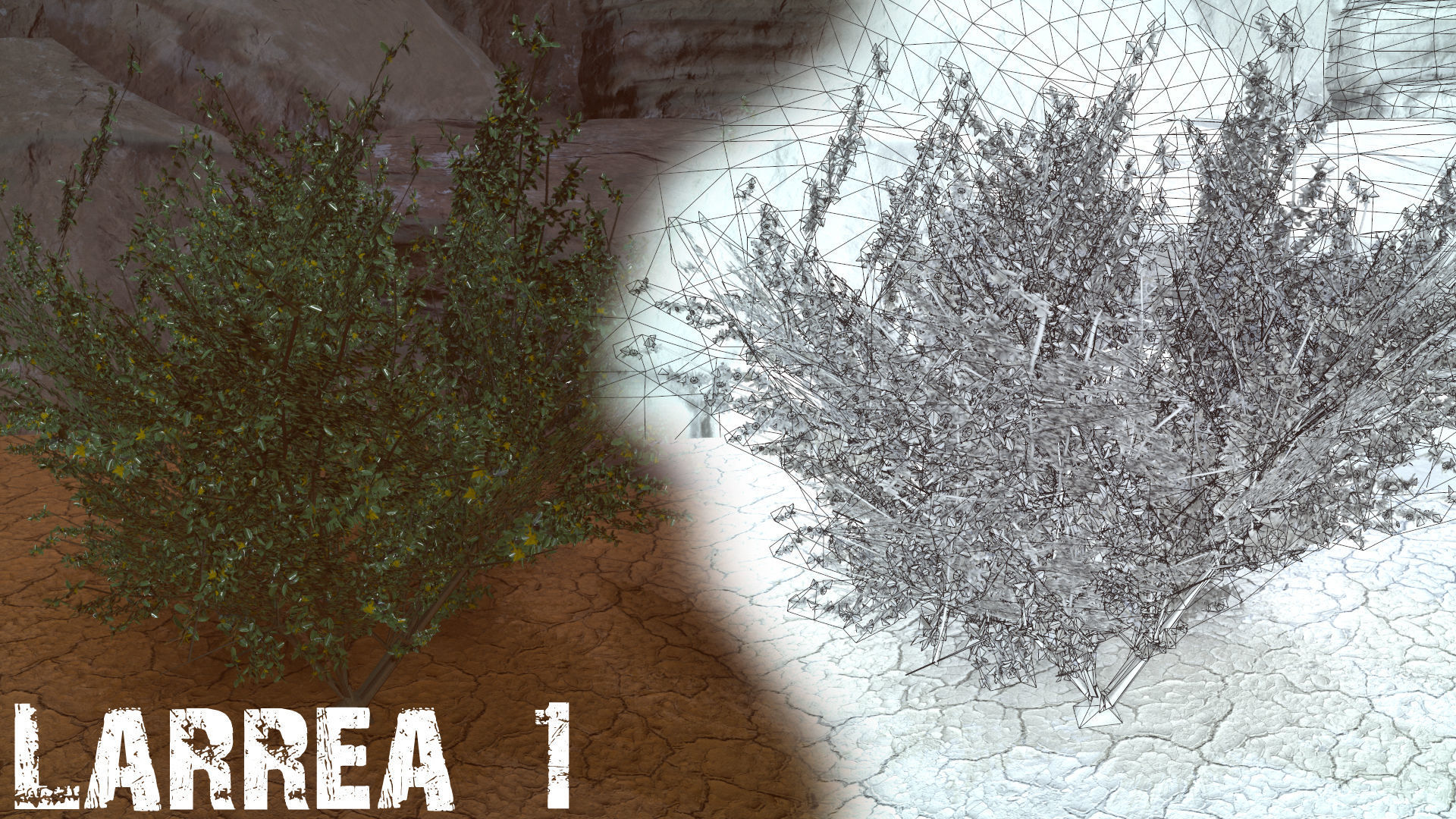 Desert Foliage Low-poly 3D model_13