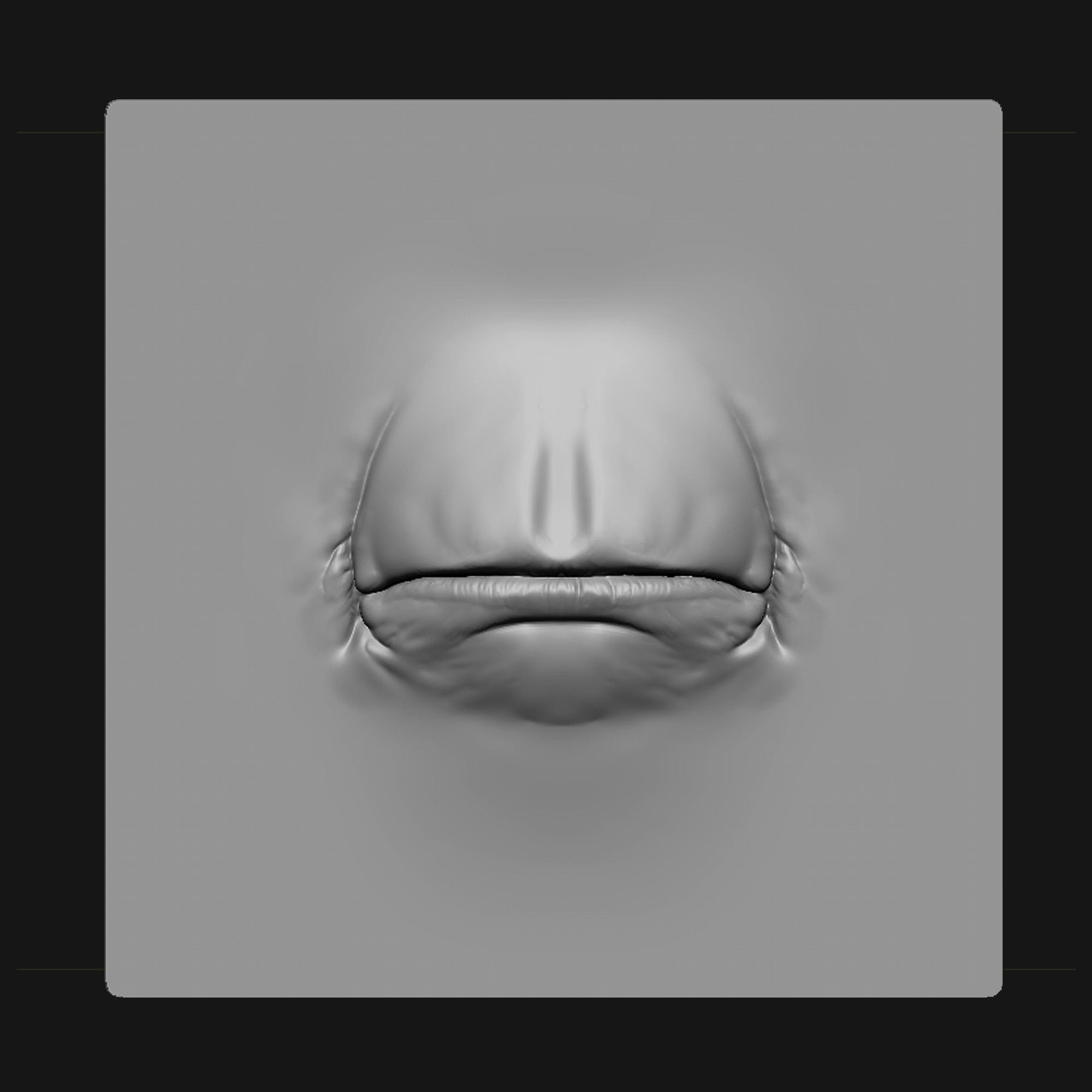 Lip Set 1 VDM Brush and Highpoly 3D model_14