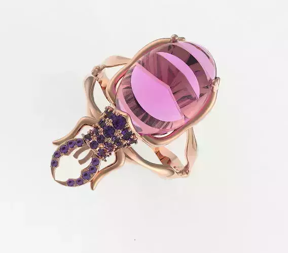 Beetle ring jewelry insect 