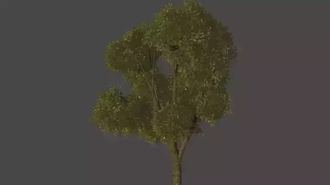 TREE 3D MODEL