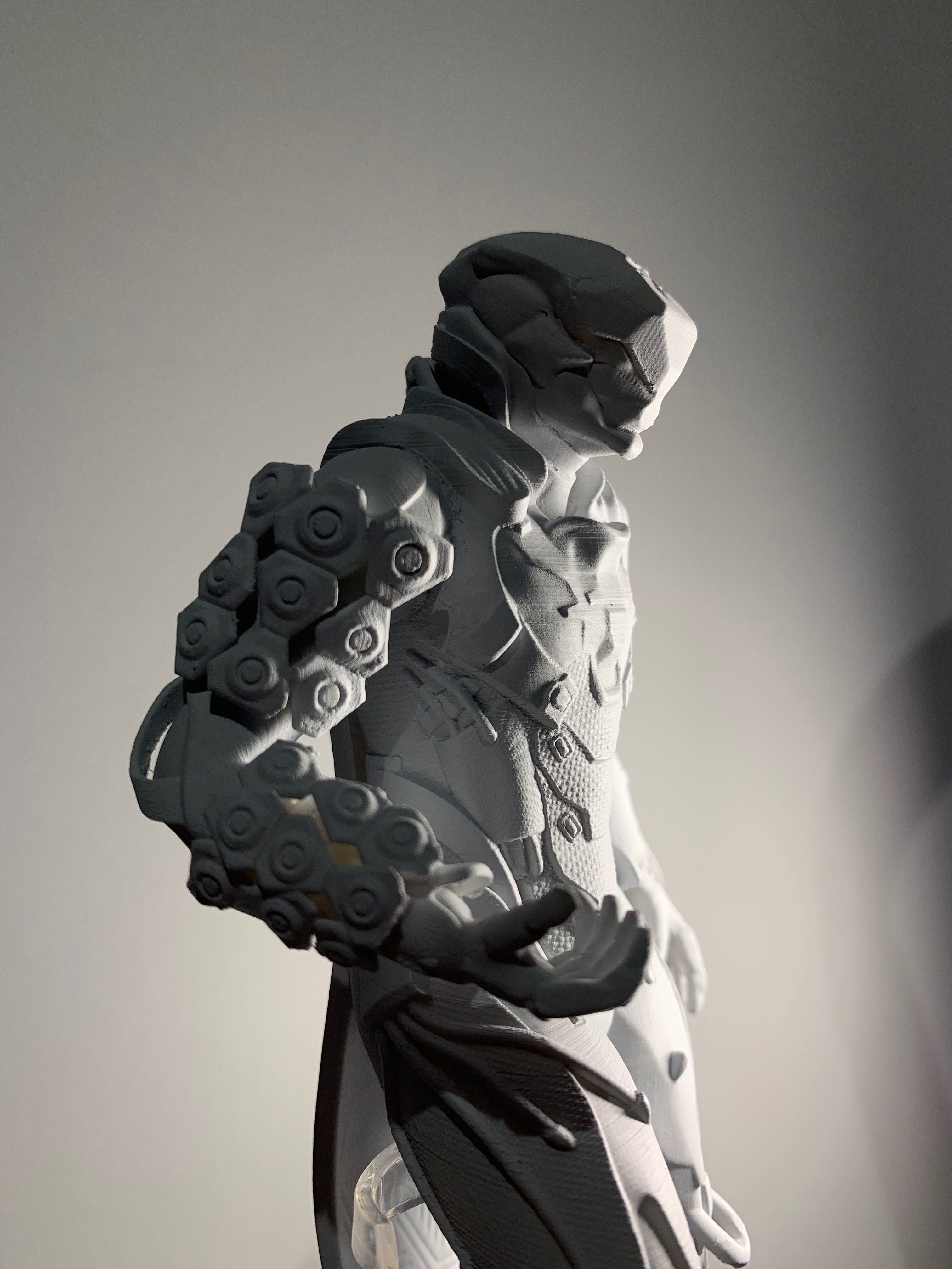 Anthem Storm Javelin and Colossus Legs 3D print model_6