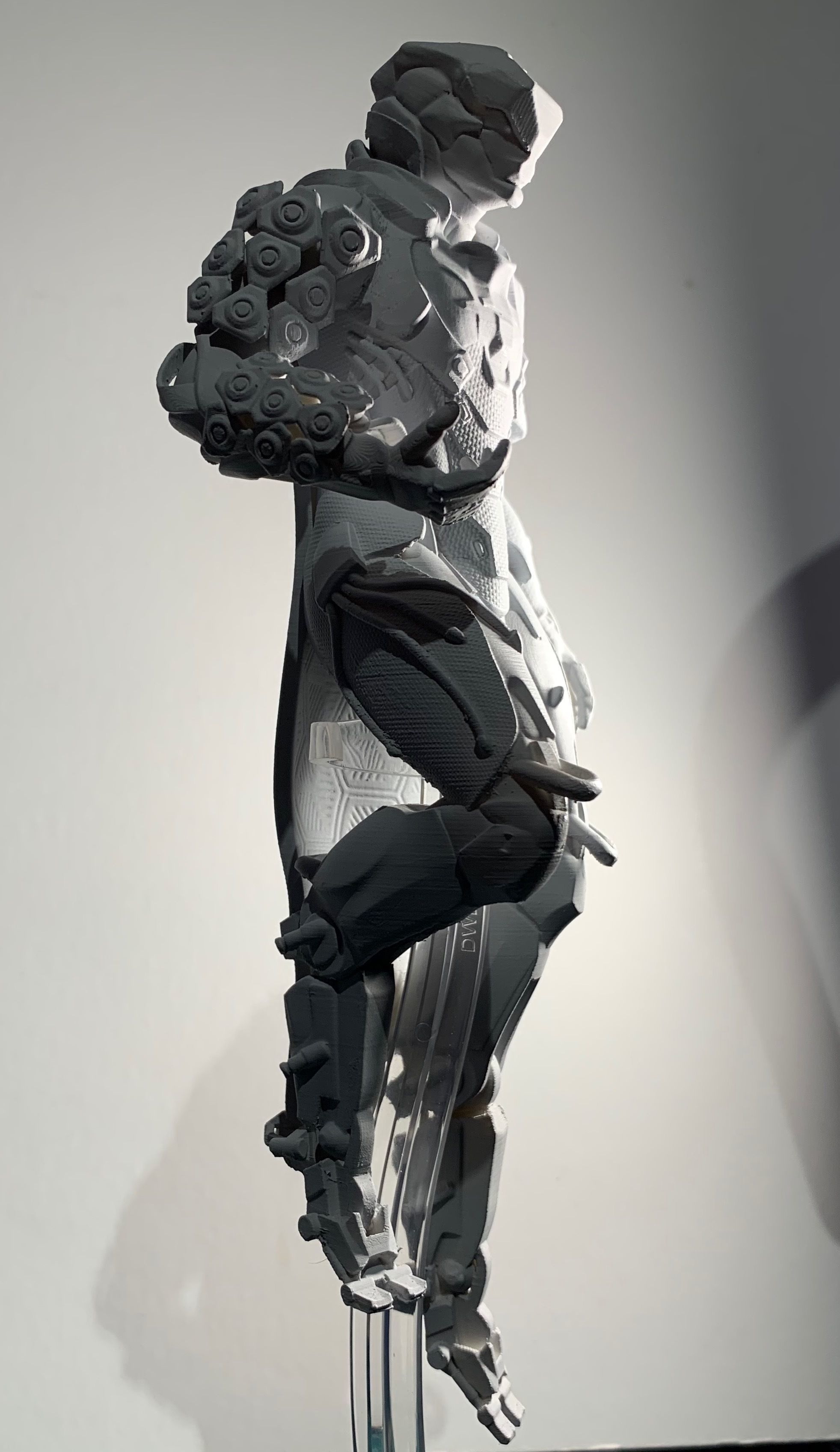 Anthem Storm Javelin and Colossus Legs 3D print model_14
