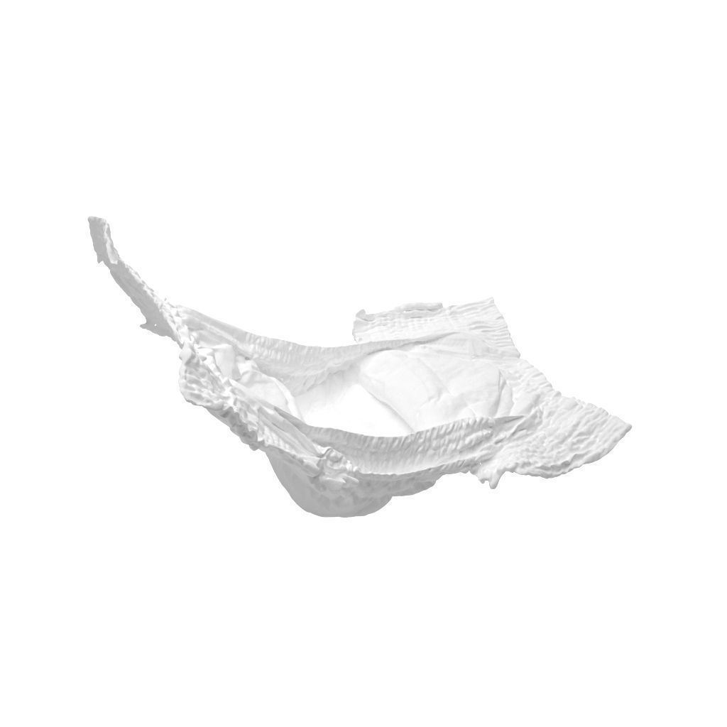Diaper toilet paper 3D model_2