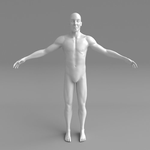 Base Mesh Male 3D model