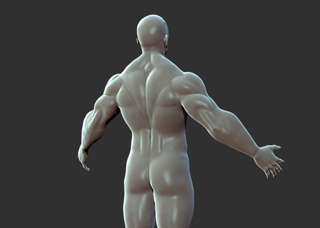 Superhero Anatomy Base Sculpture High Poly 3D Model 3D model_2