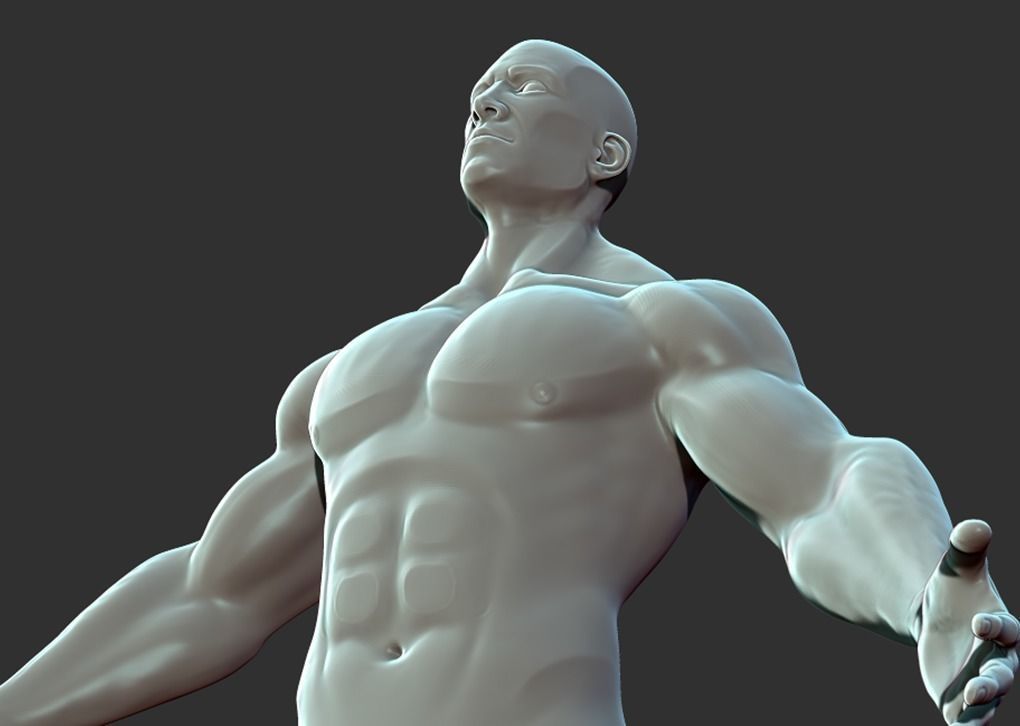 Superhero Anatomy Base Sculpture High Poly 3D Model 3D model_7