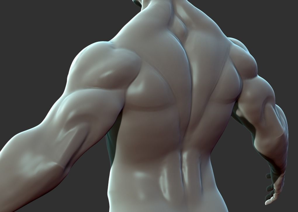 Superhero Anatomy Base Sculpture High Poly 3D Model 3D model_11