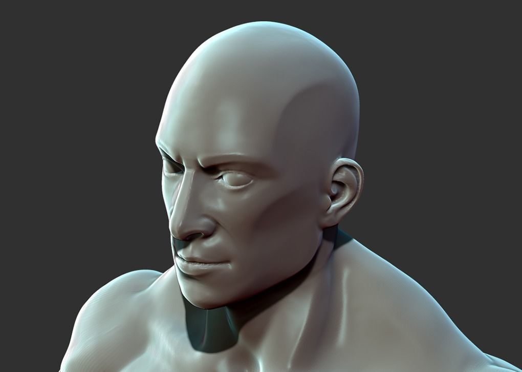 Superhero Anatomy Base Sculpture High Poly 3D Model 3D model_13