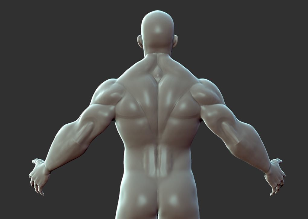 Superhero Anatomy Base Sculpture High Poly 3D Model 3D model_9