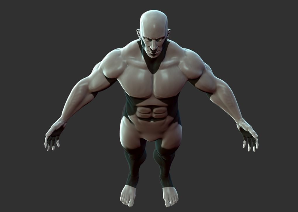 Superhero Anatomy Base Sculpture High Poly 3D Model 3D model_12