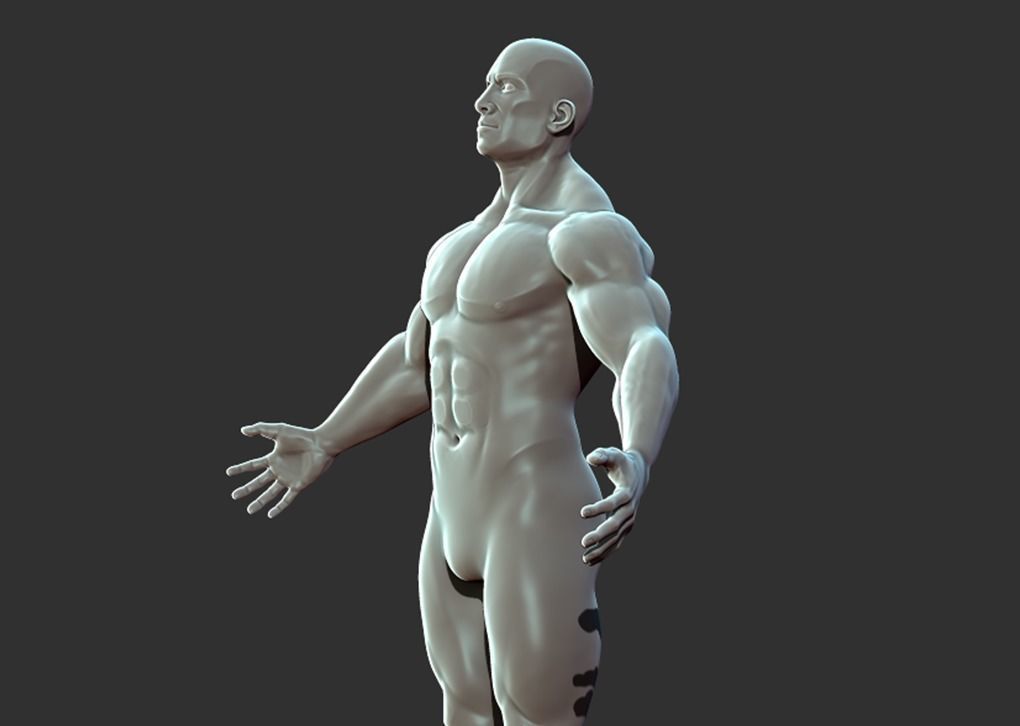 Superhero Anatomy Base Sculpture High Poly 3D Model 3D model_15
