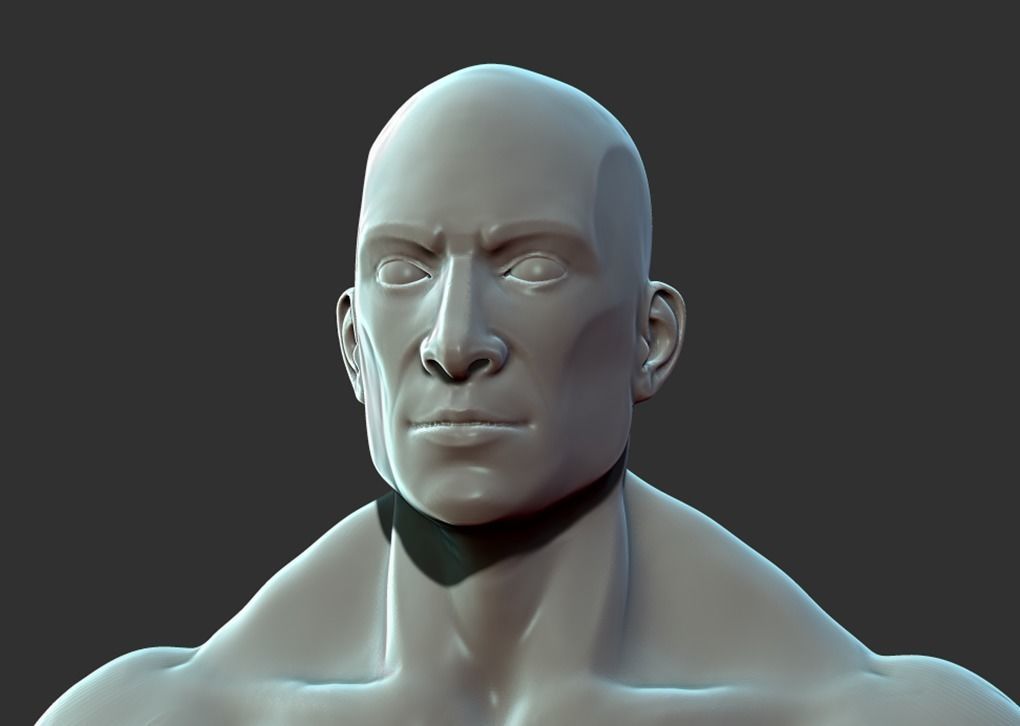 Superhero Anatomy Base Sculpture High Poly 3D Model 3D model_3