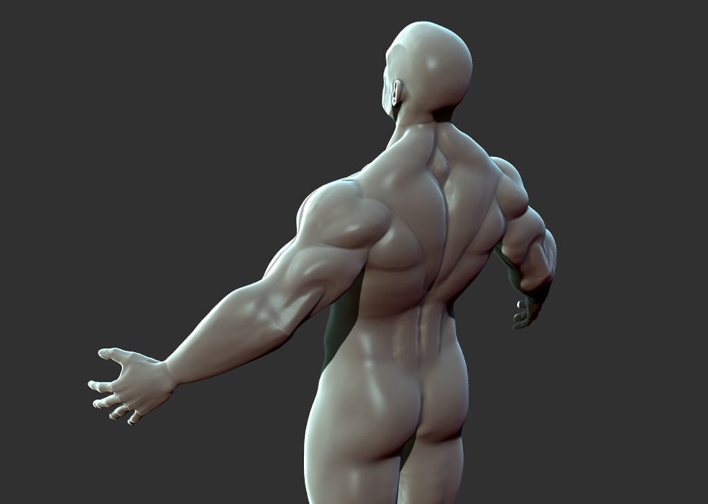 Superhero Anatomy Base Sculpture High Poly 3D Model 3D model_17
