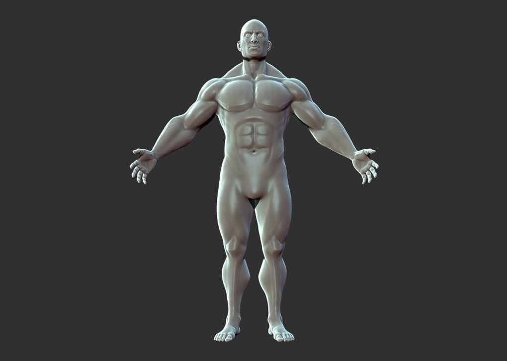 Superhero Anatomy Base Sculpture High Poly 3D Model 3D model_1