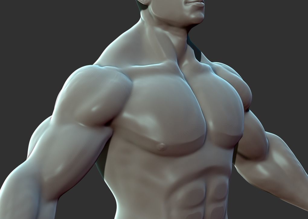 Superhero Anatomy Base Sculpture High Poly 3D Model 3D model_10