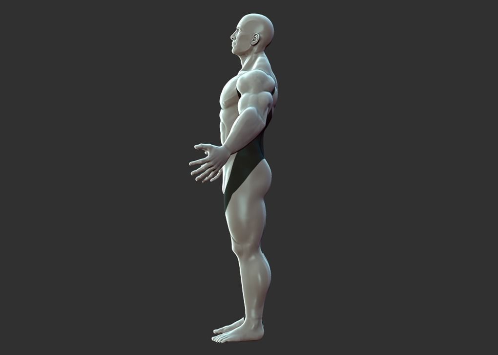Superhero Anatomy Base Sculpture High Poly 3D Model 3D model_5