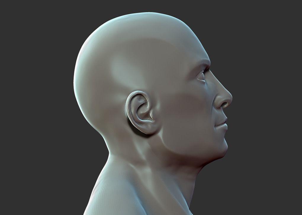 Superhero Anatomy Base Sculpture High Poly 3D Model 3D model_4