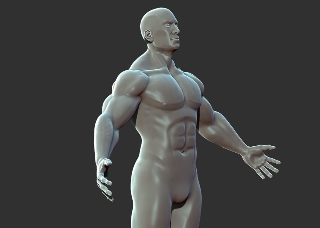 Superhero Anatomy Base Sculpture High Poly 3D Model 3D model_18