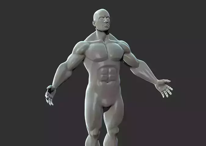 Superhero Anatomy Base Sculpture High Poly 3D Model