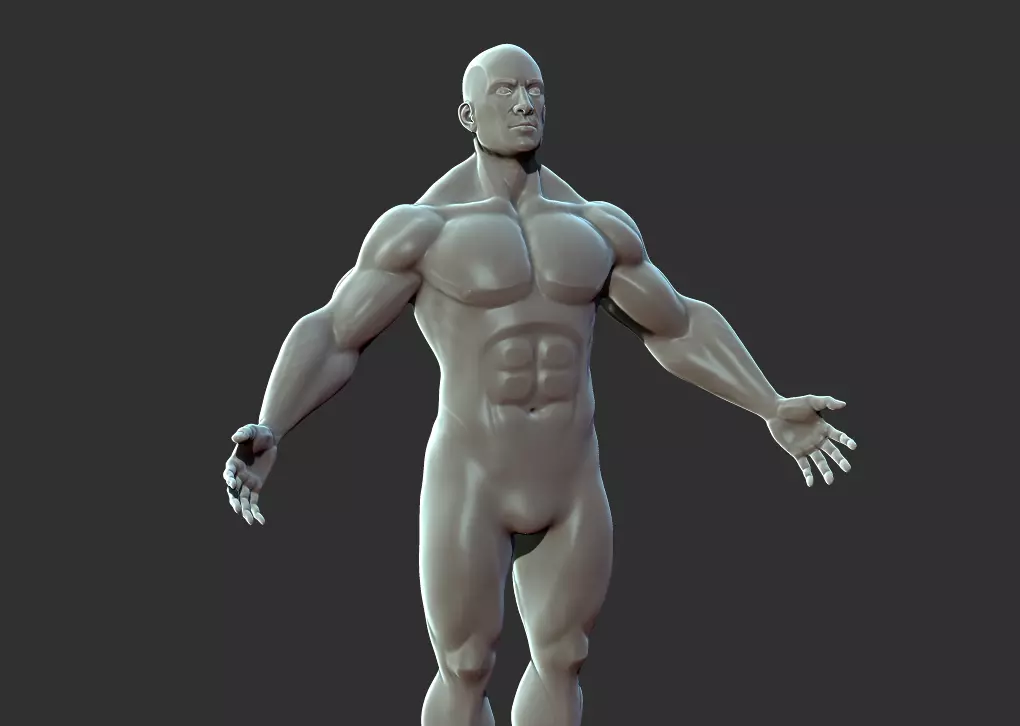 Superhero Anatomy Base Sculpture High Poly 3D Model 3D model_0