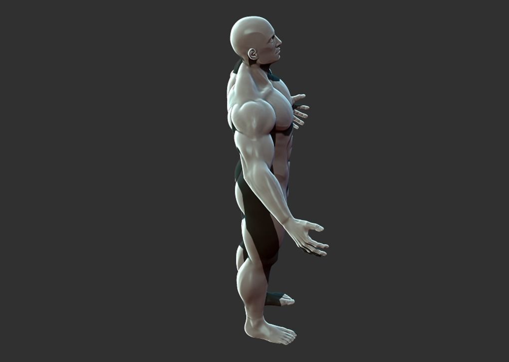 Superhero Anatomy Base Sculpture High Poly 3D Model 3D model_16