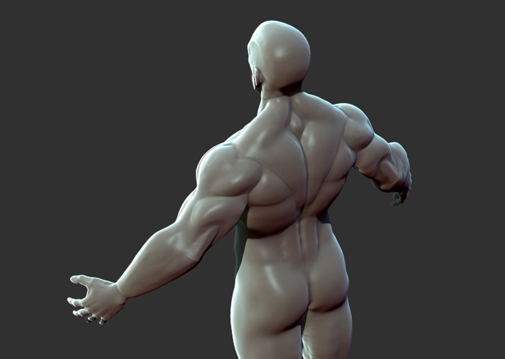 Superhero Anatomy Base Sculpture High Poly 3D Model 3D model_19