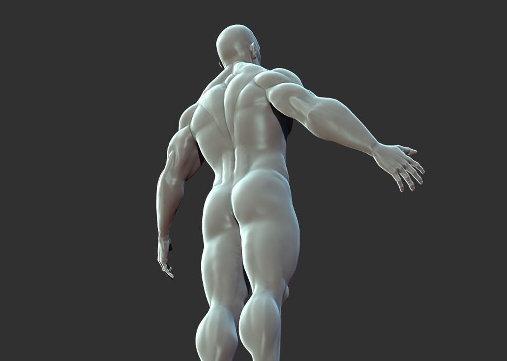 Superhero Anatomy Base Sculpture High Poly 3D Model 3D model_14