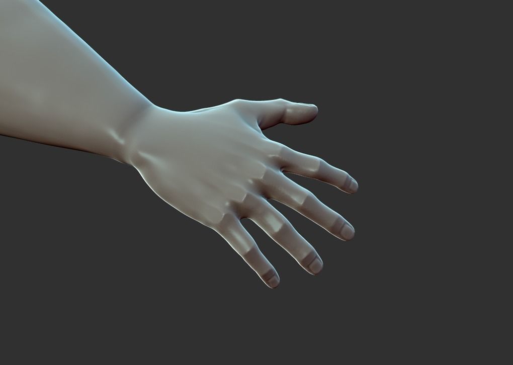 Superhero Anatomy Base Sculpture High Poly 3D Model 3D model_6