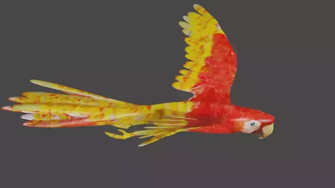 scarlet macaw 3D model