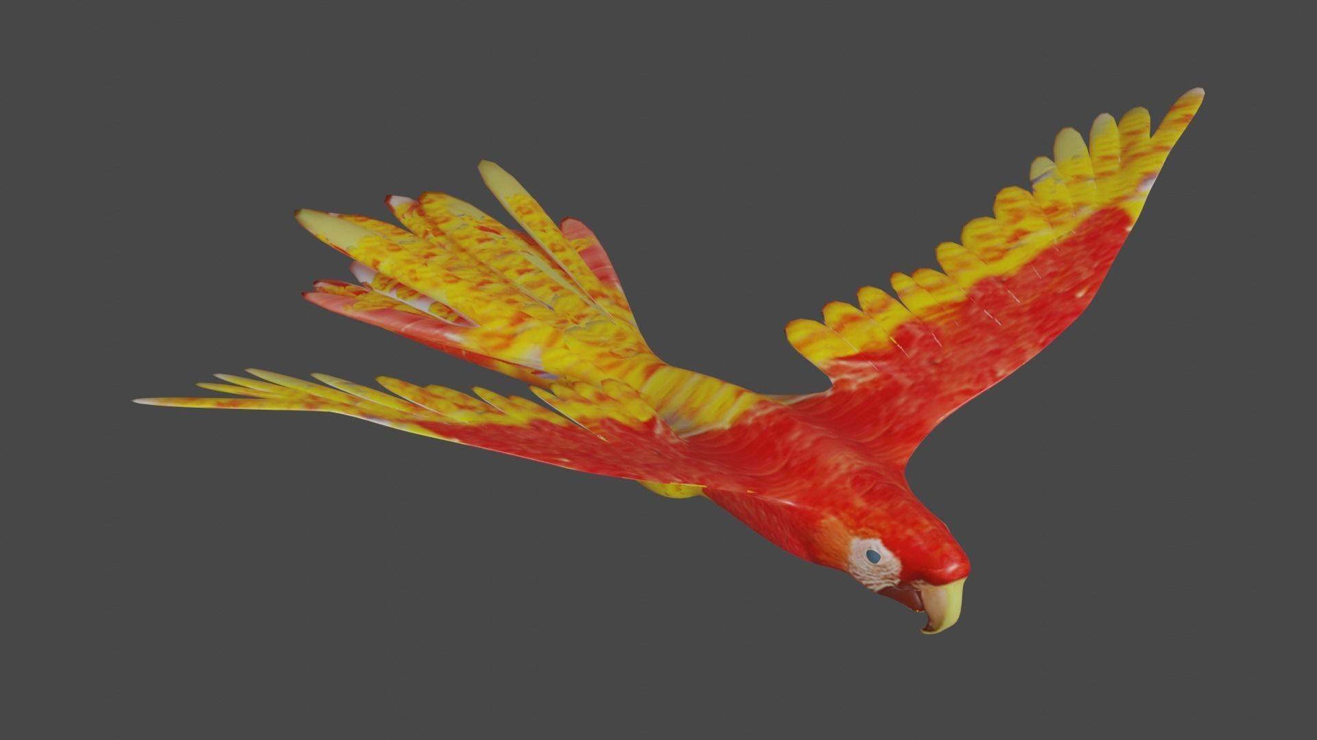 scarlet macaw 3D model_3