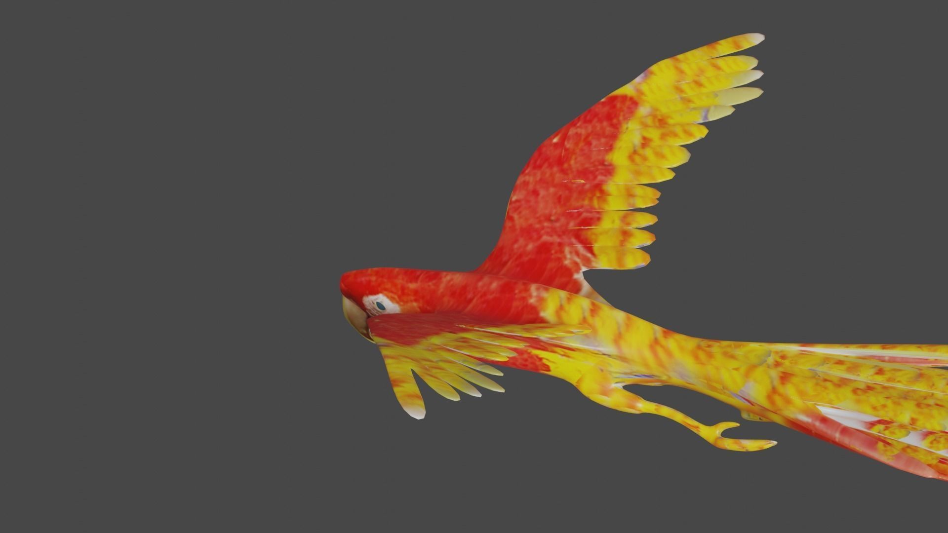 scarlet macaw 3D model_5