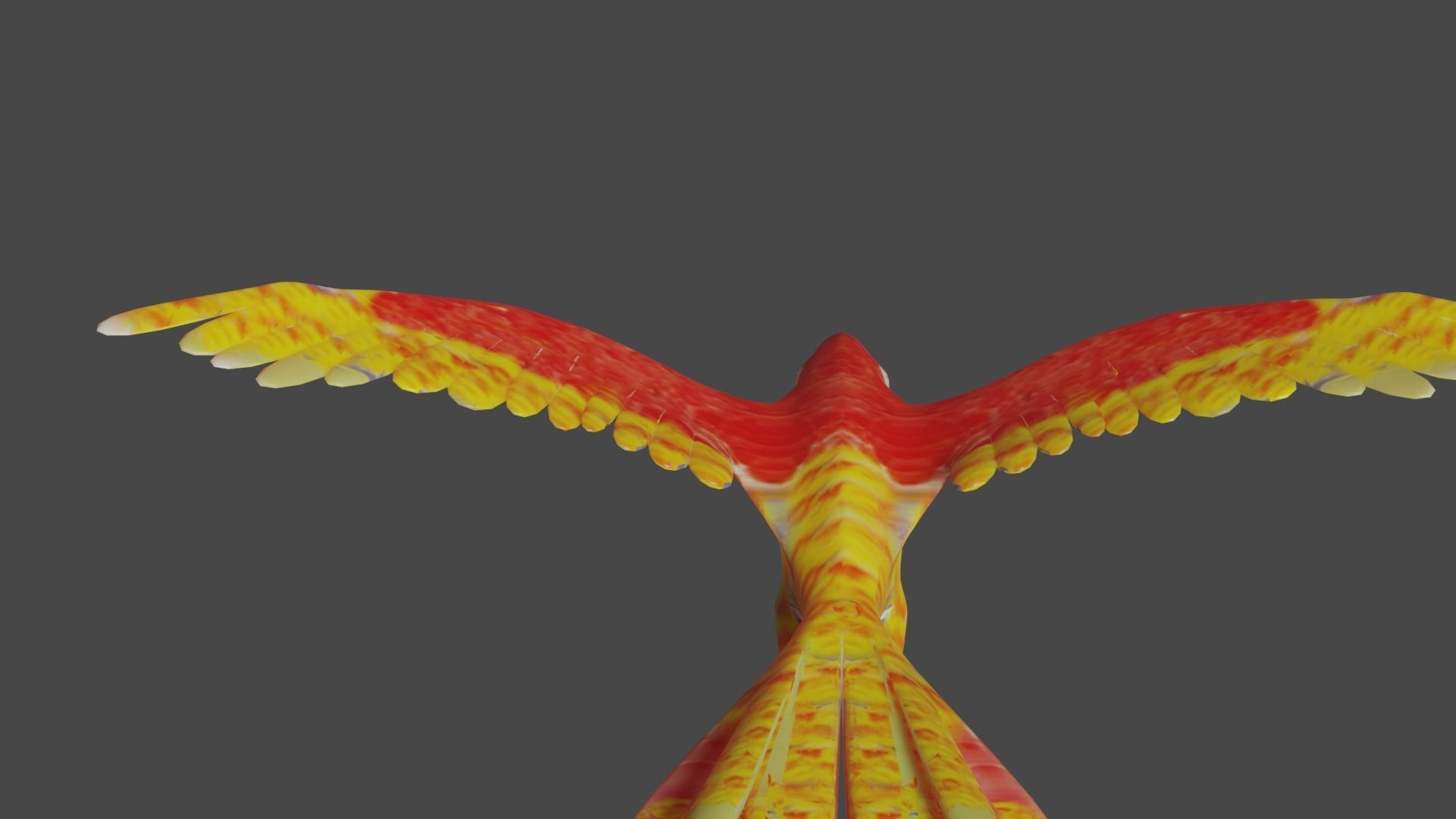scarlet macaw 3D model_1