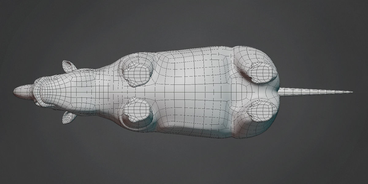 Rhinoceros Base Mesh Low-poly 3D model_5