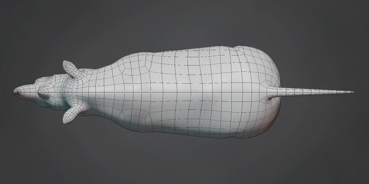 Rhinoceros Base Mesh Low-poly 3D model_4