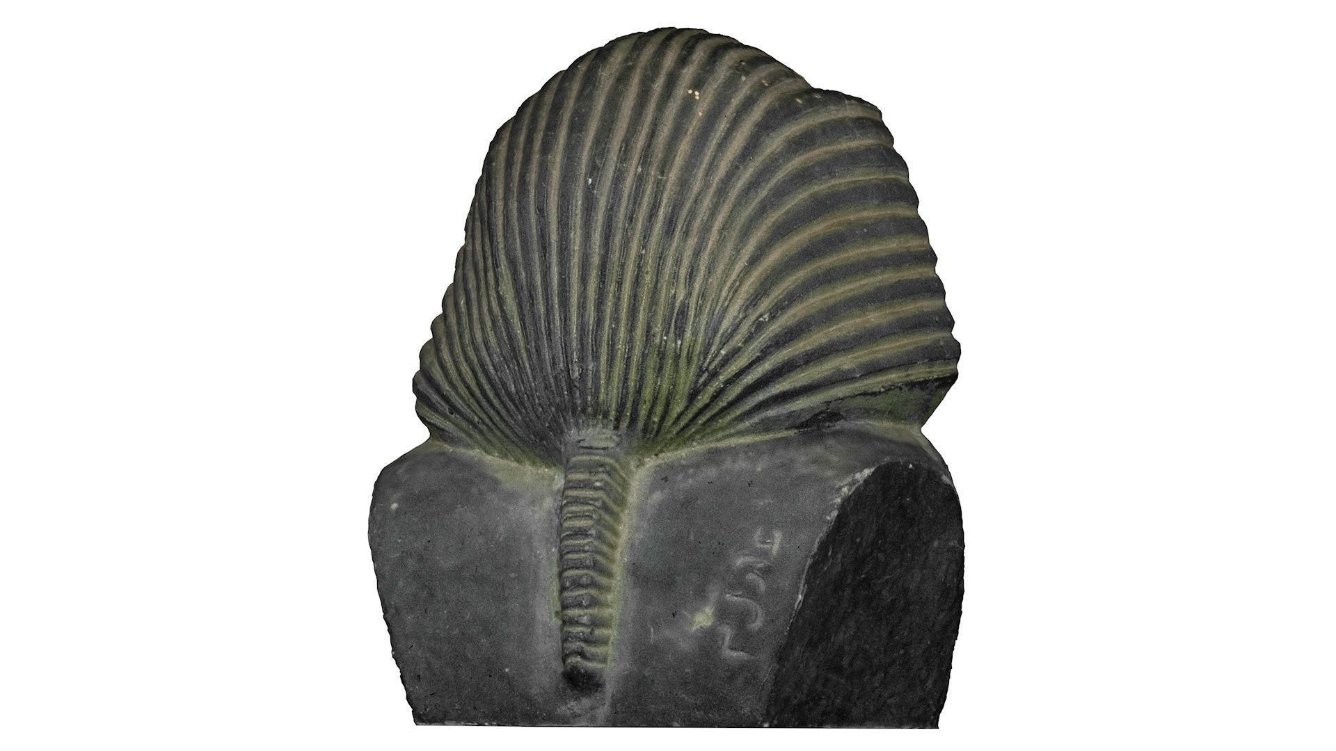 3D PRINTING - EGYPTIAN FIGURINE OF TOUTANKHAMON 3D print model_11