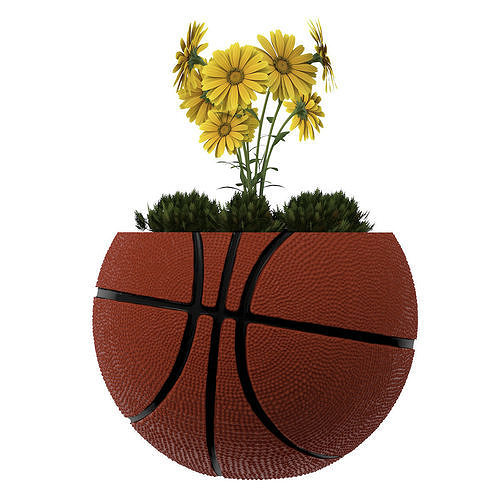 BasketBall Vase Plant 3D print model
