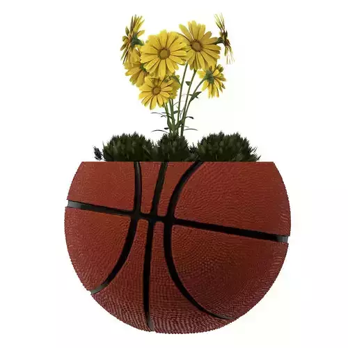 BasketBall Vase Plant