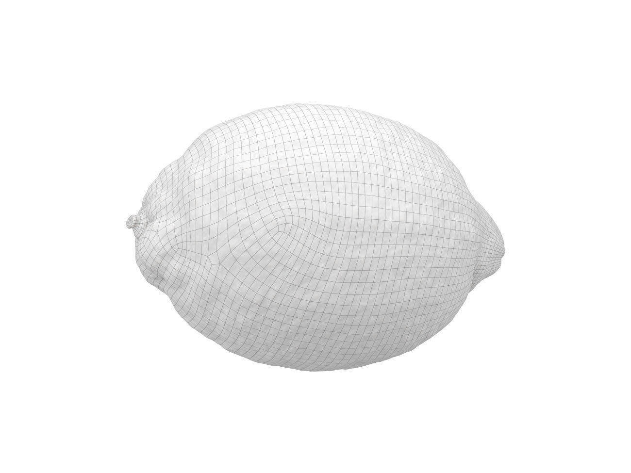 Photorealistic lemon 3D Scan 3 3D model_7